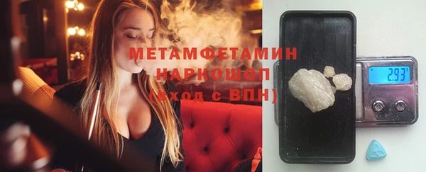 прущие грибы Балахна