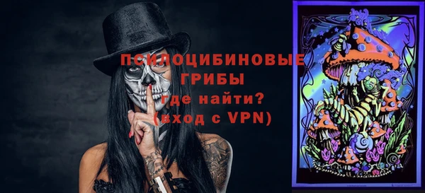 прущие грибы Балахна