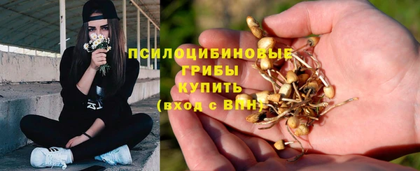 прущие грибы Балахна