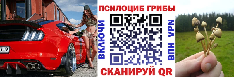 ссылка на мегу ссылки  Темников  Галлюциногенные грибы MAGIC MUSHROOMS  магазин продажи наркотиков 