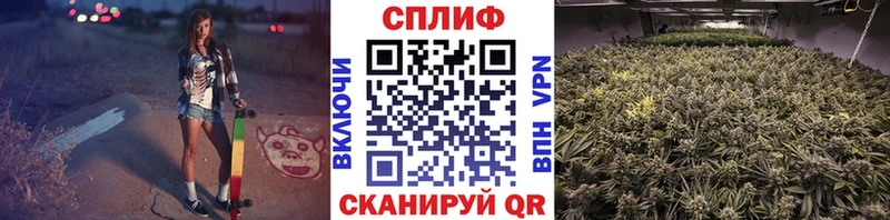 Бошки марихуана Bruce Banner Темников